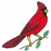 RED CARDINAL BIRD Hat  One Embroidered Wildlife Cap  Price Embroidery Apparel  eb-51858348